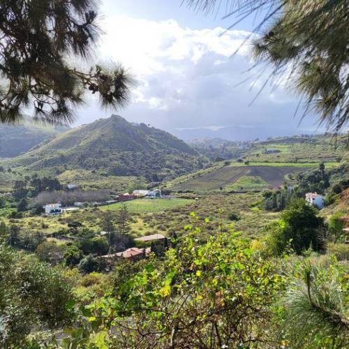 Bandama