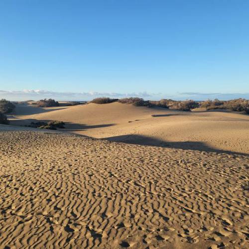Maspalomas Dunes
