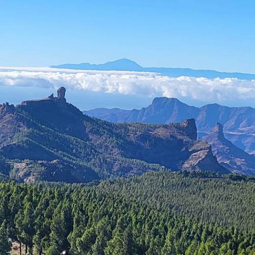 Pico de Las Nieves