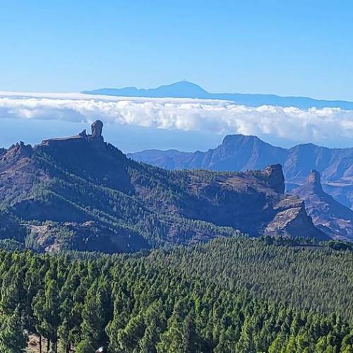 Pico de Las Nieves
