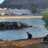Early Morning in Puerto de Mogan Beach